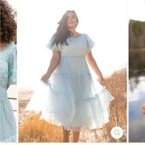 NWT Ivy City Co Corrine Tulle Dress S